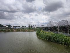 -马陆小张葡萄园农家乐