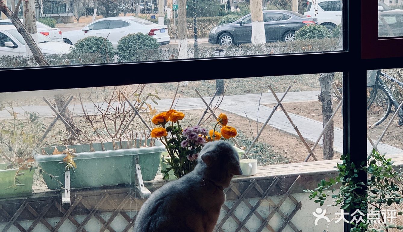 在这喝上一杯手冲，观察观察🐱们，午后时光舒服的紧[得意]