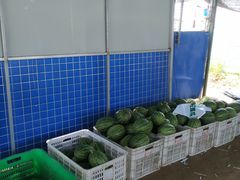 -庞各庄西瓜蔬菜采摘园·锦华瓜园