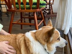 -肥朵食堂(带梦胡同店)