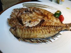 -山葵家·创意料理(宁波来福士店)