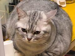 -H立方实景剧情密室(天河旗舰店)
