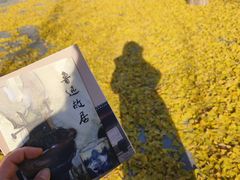 -北京鲁迅博物馆(北京新文化运动纪念馆鲁博馆区)