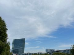 -大兴滨河森林公园