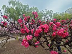 -白塘生态植物园