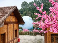 -黄龙溪欢乐田园