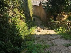 -杨家堂村