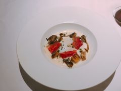 -蝶舍·MAISON PAPILLON