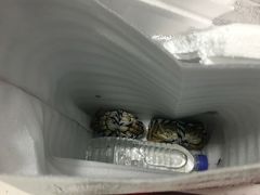 阳澄湖大闸蟹-丫丫蟹庄·苏式园林农家乐·阳澄湖大闸蟹(阳澄湖莲花岛店)