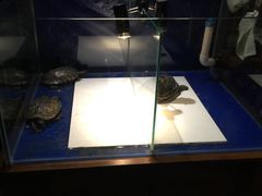 -好介口深夜酒馆(梅江店)