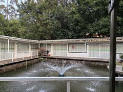 -芭厘农庄老字号·清远鸡