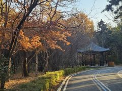 -长春市南湖公园