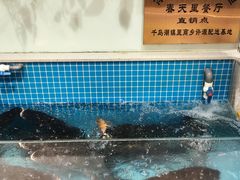 -春天里餐厅(西田城店)