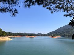 -广州市流溪河国家森林公园
