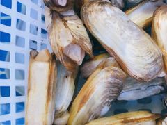 -鑫悦楼煎蟹·16年海鲜大排档