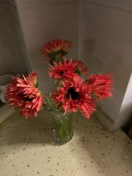 -幻贝家儿童乐园(苏州中心店)