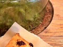 -自由生长植物工作室(深港花卉中心店)