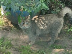 -青藏高原野生动物园