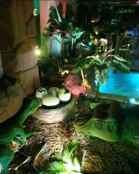 -恐龙探索乐园(磁器口店)