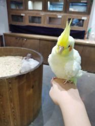 -Zoolung Zoolung动物主题公园(海信广场店)