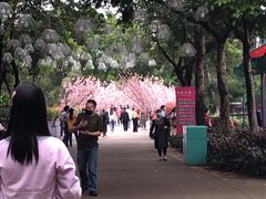 -观澜湖旅游度假区