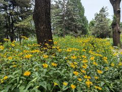 -国家植物园南园