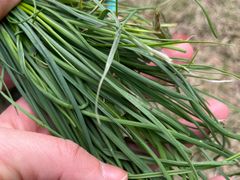 -白塘生态植物园