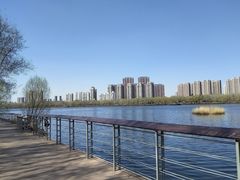 -长白岛森林公园