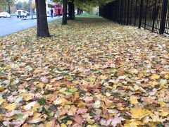 -滴血救世主教堂