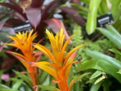 -徐家汇源景区-衡山公园