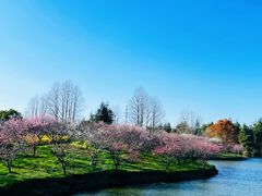 -上海海湾国家森林公园