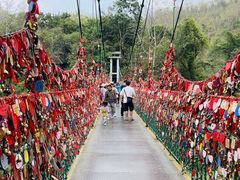 -西双版纳原始森林公园