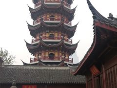 -章云板鸭(总店)