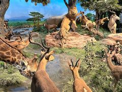 -国家自然博物馆