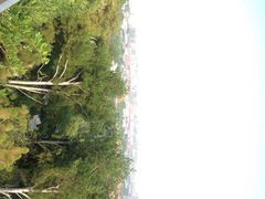 iphone_upload_pic-景山公园