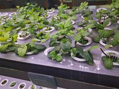 -蔡澜PHO(海岸城店)