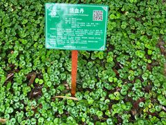 -广西壮族自治区药用植物园