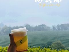 -白茶原·一片叶子