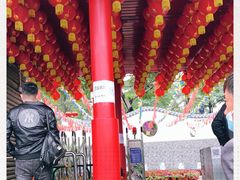 -松山湖梦幻百花洲