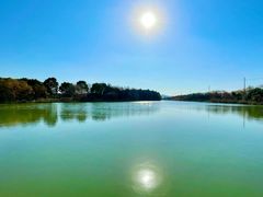 -苏州太湖国家湿地公园