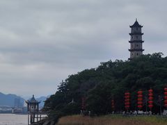 -江心屿景区