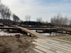-东郊湿地公园