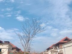 小区环境-太阳湖大花园钻石湾