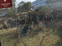 -杭州野生动物世界