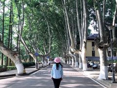 -T80科技文化国际社区-停车场