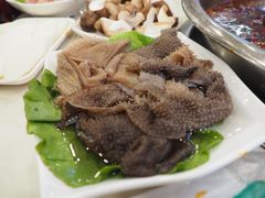 -朱氏胖子烂火锅(洪崖洞店)