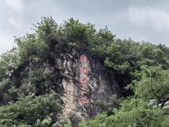 -黔灵山公园