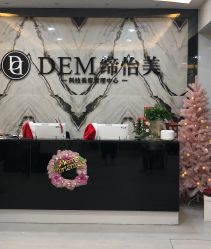 -DEM缔怡美科技美容