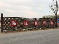 -尚庄度假村·庭台树下·户外烧烤·团建CS·轰趴营地(上庄水库店)