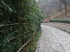 -竹子庵公园